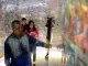 WhatsApp_Image_2024-08-31_at_152141_1