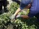 WhatsApp_Image_2025-02-09_at_164635_3