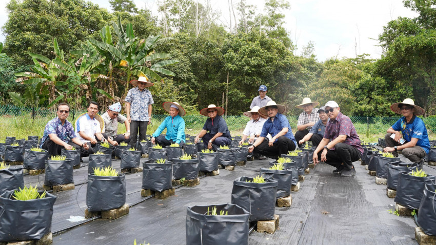 WhatsApp_Image_2025-03-08_at_194417