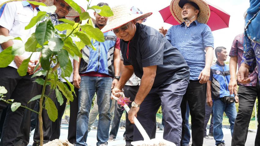 WhatsApp_Image_2025-03-08_at_194417_1