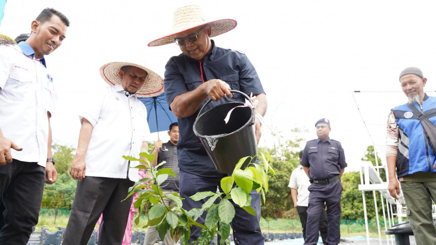 WhatsApp_Image_2025-03-08_at_194418