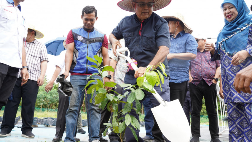 WhatsApp_Image_2025-03-08_at_194418_1