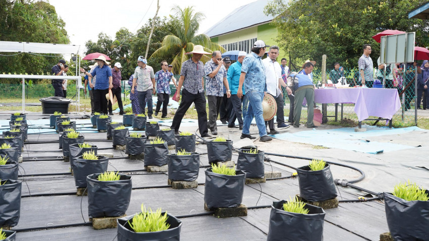 WhatsApp_Image_2025-03-08_at_194419