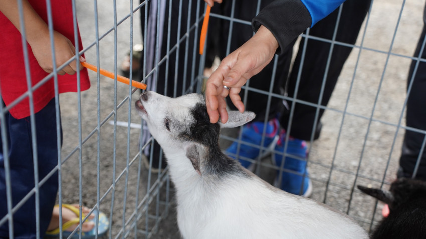 WhatsApp_Image_2025-11-16_at_154206_1