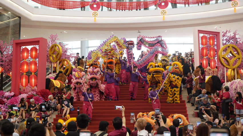 WhatsApp_Image_2026-01-22_at_150933_4