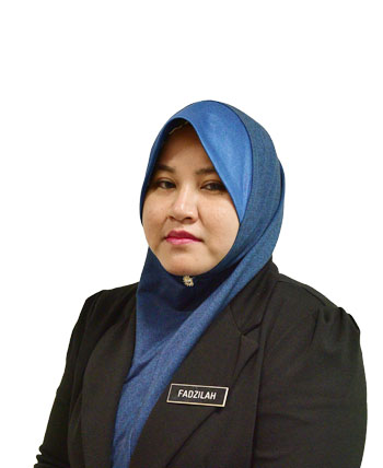 FADZILAH BINTI SALIMIN