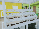 Projek Pertanian Bandar Komuniti KRT Kota Kubang Labu, Tumpat