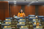 Mesyuarat Ketiga, Penggal Ketiga Parlimen Kelima Belas Tahun 2024