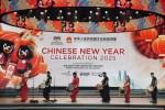 Sambutan Tahun Baharu Cina 2025