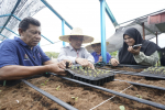 Lawatan Ketua Setiausaha Kementerian Perpaduan Negara Ke Kawasan Rukun Negara KRT Progresif Taman Serai Setia
