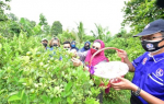Lawatan Kerja YBM Pperpaduan Negara ke KRT Taman Pandan Mewah, Ampang